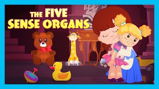 THE FIVE SENSE ORGANS  Stories For Kids In English  TIA amp TOFU Stories  Bedtime Stories For Kids [upl. by Oneil]