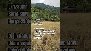 SAWAH PRODUKTIF LT1730M² SURAT SHM NEMPEL JLN KABUPATEN LOKASI KABUPATEN BOGOR [upl. by Dlabihcra101]