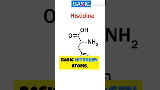 True alkaloids Proto alkaloids Pseudo alkaloids shorts alkaloids pharmacognocy pharmacy study [upl. by Molton]