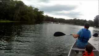 Bird Projectile Pooping At De Leon Springs State Park [upl. by Rramahs168]