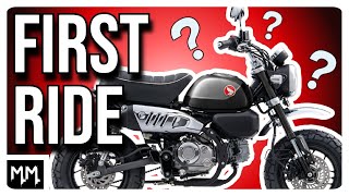 First Impressions Honda Monkey [upl. by Anitreb]