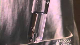 Reaction of Magnesium and Water [upl. by Gnaw]