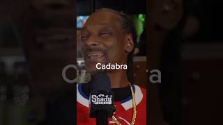 Snoop Dogg Sings Houdini rap music hiphop [upl. by Haduhey]