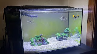 The Fluval Evo 135 Lives [upl. by Lizzie25]