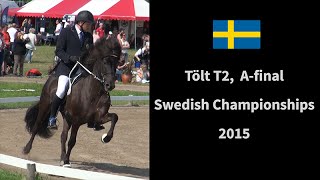 T2 A final Swedish Championships 2015 [upl. by Ainadi]