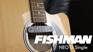 Review Captador Passivo Fishman Neo D Single [upl. by Nahtnahoj]