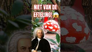 MUZIEK PADDENSTOELEN NIET VAN DE EFTELING 😱  efteling sprookjesbos sebastianbach shorts [upl. by Giverin826]