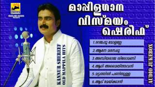 Mappila Pattukal Old Is Gold  Mappilagaana Vismayam Kannur Shareef  Malayalam Mappila Songs [upl. by Brewster]