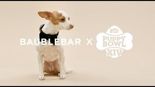 BaubleBar x Puppy Bowl XIV [upl. by Carlota]