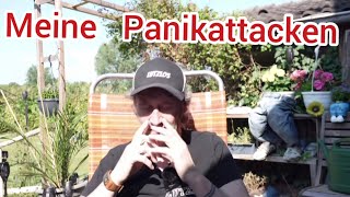 Meine Panikattacken und Ursachen [upl. by Ormand]