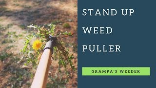 Grampas Weeder  The Original Stand Up Weed Remover [upl. by Pomona196]