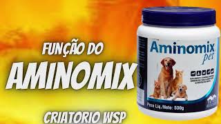 função do aminomix manejo passaros aminomix [upl. by Annaitat]