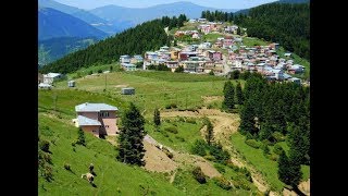 Güler ÖZTÜRK  Vur Elleri  Odasında Halı var  Giresun Karşılaması 2018 [upl. by Siari60]