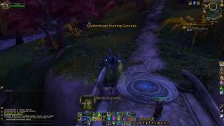 Cut the Cattitude  Suramar  World Quest [upl. by Otreblada400]