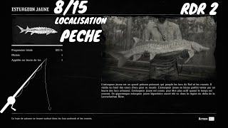 Tout Les Poissons 815 LEsturgeon Jaune Localisation Red Dead Redemption 2 [upl. by Fabrianne439]