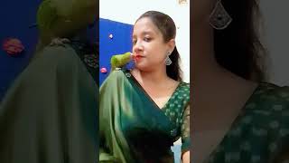 আমার শখের পাখি bdbird comedyfilms houseofbirdsbd [upl. by Fraya666]