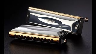 Chromatic harmonicaНаргиз Закирова Ты моя нежностькавер [upl. by Giule275]