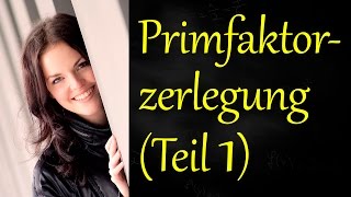 Primfaktorzerlegung Teil 1 Erklärung [upl. by Kaya]