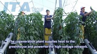 ITA Group  Drama Greenhouses SA [upl. by Anaic]