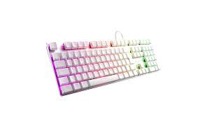 Sharkoon launches PureWriter White RGB full size and TKL mechanical keyboards [upl. by Mw521]