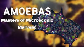 Amoebas Masters of Microscopic Marvels [upl. by Elyagiba880]