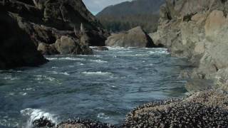 Hot Springs Cove Tofino The Experience  British Columbia Canada [upl. by Namruht441]