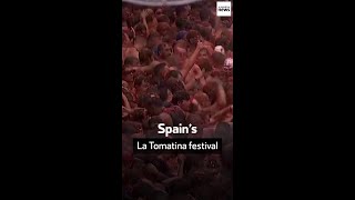 Spain’s La Tomatina festival [upl. by Ahsiret67]