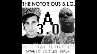 The Notorious BIG  Suicidal Thoughts Ashe 30 Dubstep Remix Biggie Smalls Dubstep Remix [upl. by Fidela]