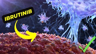 Ibrutinib The Breakthrough Treatment for Blood Cancer [upl. by Paul]