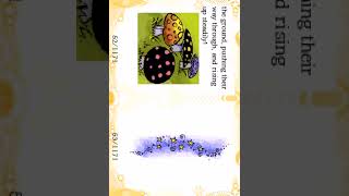 Flips Enid Blyton  Faraway Tree Stories Gameplay Nintendo DS [upl. by Eemia]