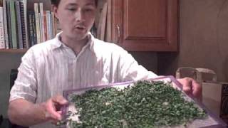 How to Dry Moringa and Make Green Powder  A New Raw Super Food [upl. by Showker]