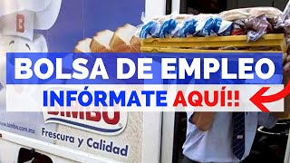 🎯 EMPLEOS BIMBO  OFERTA DE EMPLEO  BUSCO TRABAJO 2019 [upl. by Worlock]