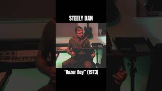 Steely Dan  quotRazor Boyquot acoustic instrumental [upl. by Vyky385]