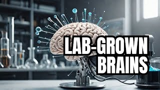 🧠 The Fascinating World of LabGrown Brains Breakthroughs and Implications 🔬 [upl. by Pappano]