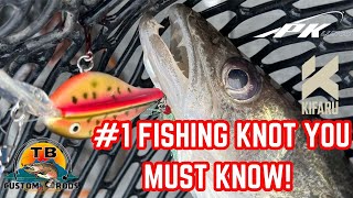 Palomar Knot The 1 Fishing Knot You Need to Know Best Fishing Knot [upl. by Wind]