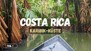 Highlights der Karibikküste  COSTA RICA Rundreise 2024  Teil 1  Cahuita Tortuguero Puerto Viejo [upl. by Walsh]