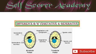 Vegetative and generative cell [upl. by Eniliuqcaj549]