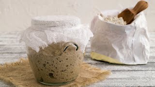 Homegrown  Sourdough Starter in 4 Simple Steps [upl. by Maitland736]