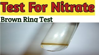 Test for Nitrate  Acidic Radical Analysis  Brown Ring Test  Vikram seervi  Chemistry Experiment [upl. by Rori]