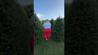 A little Christmas tree farm behind the scenes… [upl. by Annia]