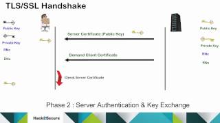 TLSSSL Protocol and Handshake Process [upl. by Ehrsam]