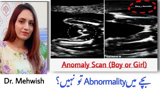 pregnancy ki ultrasound report kaise pade  placenta se jane ladka ya ladki  mommy expertise [upl. by Mientao848]