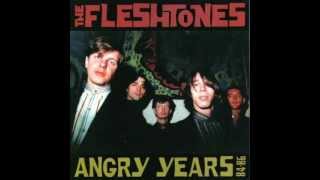 The Fleshtones  5 New Fleshtones [upl. by Acinoda]