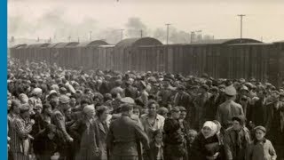 The deportation of Jews from Hungary and Lodz to Auschwitz Birkenau 1944 [upl. by Norword]