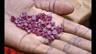 quotMAASAI LANDquot  Rubies from Longido Tanzania [upl. by Stanwinn433]