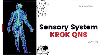 Solving Sensory system Krok questions  Physiology Class12 [upl. by Yelena]