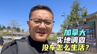 王局采访“我妻之死”大翻车？加拿大没车能否正常生活？“废物”老公为何不去考驾照？做一回调查记者，实地去看看 [upl. by Ahsened461]