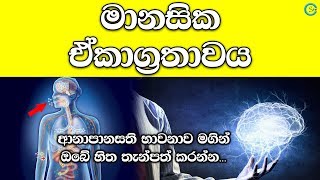 මානසික ඒකාග්‍රතාවය ඇති කරගන්න  Meditation  Shanethya TV [upl. by Nailluj]