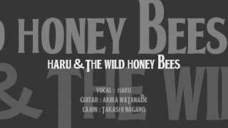 HEAVEN KNOWS  HARU＆THE WILD HONEY BEES [upl. by Konyn]