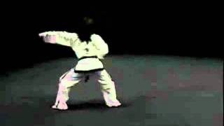 Video 10 Tules TKD ITFavi [upl. by Atlas490]